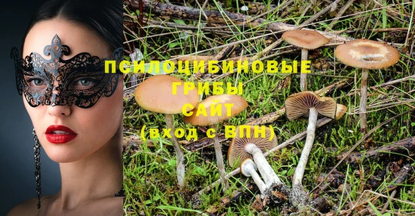 соль ск Аркадак