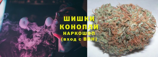 PSILOCYBIN Сафоново