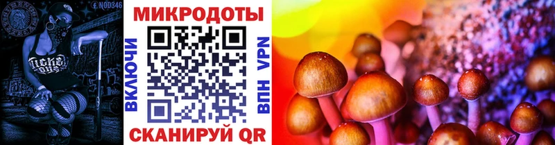 Псилоцибиновые грибы Magic Shrooms  купить  сайты  Дедовск 